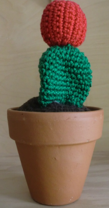 Cactus hard groen met rode bloembol kant en klaar
