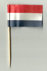 Papieren nederlands vlaggetje