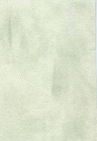 Sprookjesvilt wit/groen nr. 154